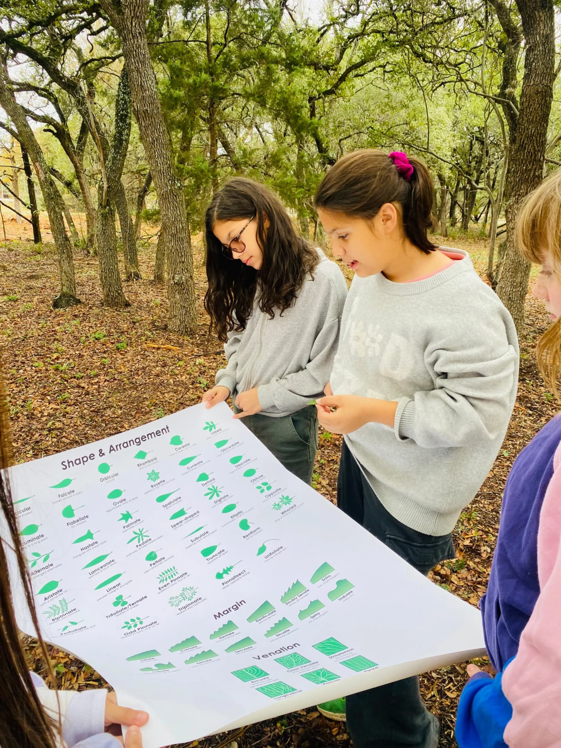 Hands-on learning at Austin Micro School